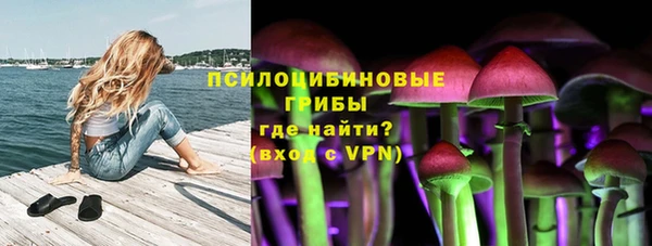 кокс Козельск