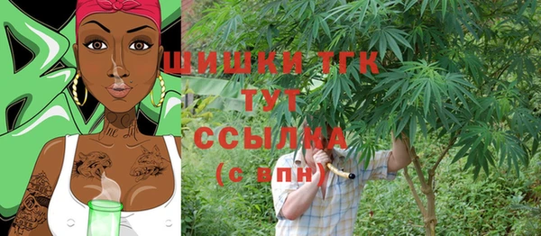 индика Кинешма