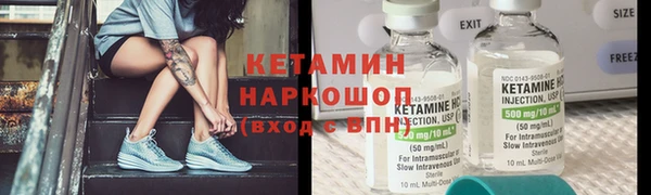 индика Кинешма
