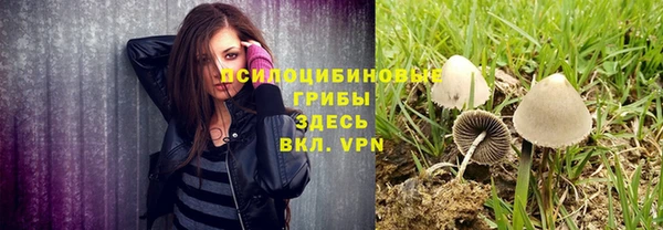 дживик Кодинск
