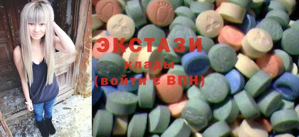 индика Кинешма