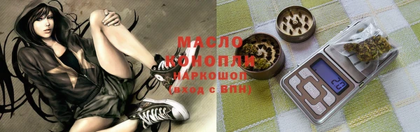 индика Кинешма