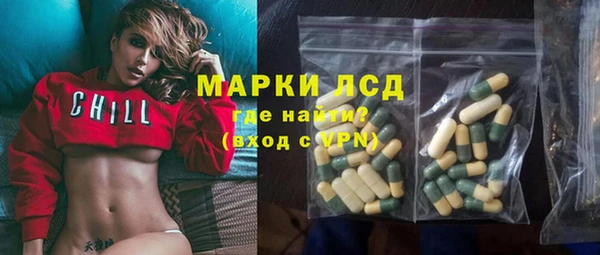 индика Кинешма
