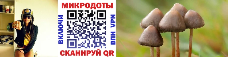 мориарти как зайти  Новоульяновск  Галлюциногенные грибы Magic Shrooms  где найти наркотики 